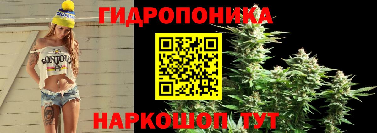 Марихуана OG Kush Шебекино